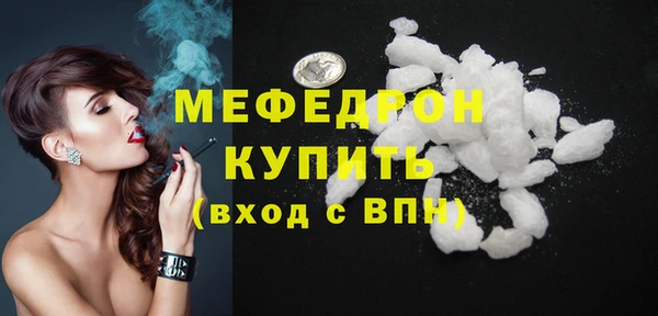 шишки Няндома