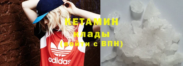 шишки Няндома