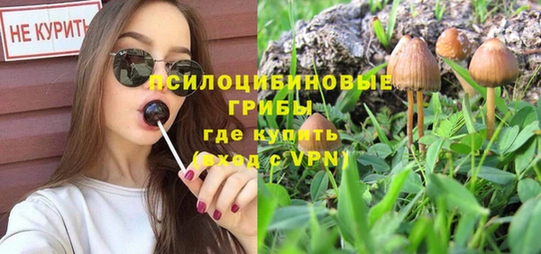 бошки Новозыбков