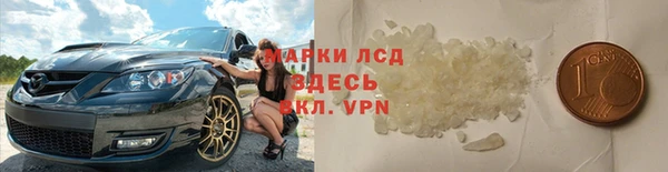 шишки Няндома