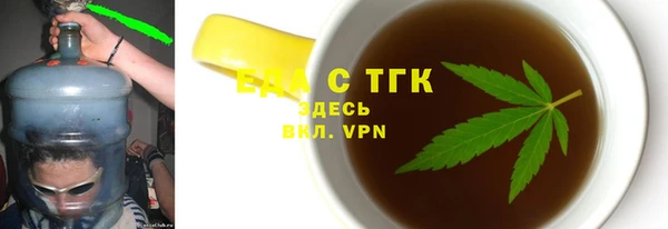 шишки Няндома