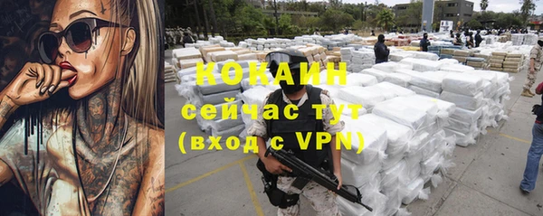 шишки Няндома