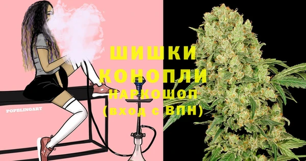 шишки Няндома