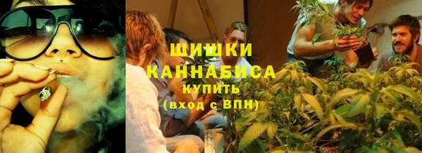шишки Няндома