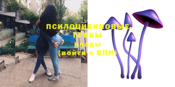 альфа пвп Нягань