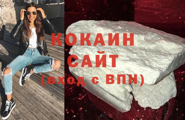 шишки Няндома