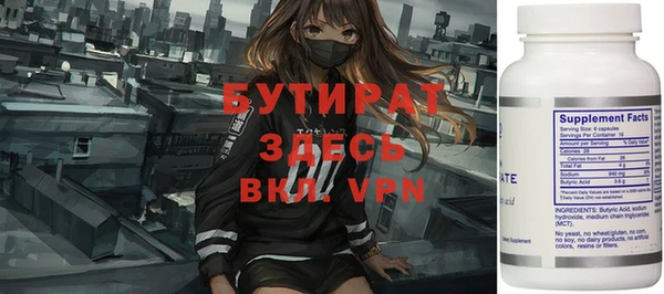шишки Няндома